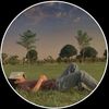music_luix
