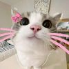 eny.sevti