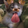 naraaw_ww