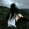 viola_lo82