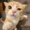 naanz_rfd2