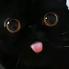 mnojoj