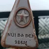 camau96n1