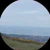 ginnygeorgia3601