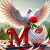 m.r.s290