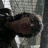 gales_456