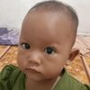 aull016