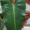 raju.vai8822