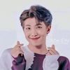 user9515090511501