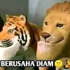 ryin2471