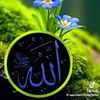 user4868478165054