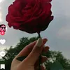 user3600524155426