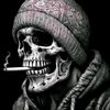 alfredy6690