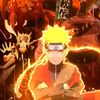 user915601426
