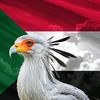 الحصة وطن