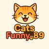 catsfunny89