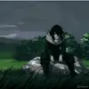 shamsking538