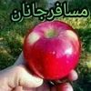 user293515684