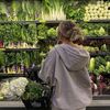 wellnesswatcher
