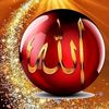 mumtaz.hussain739