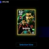 roman.adl8