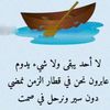user93381844755208