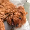 maplethecavapoo39