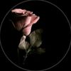 .ismail222