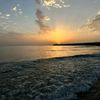 samaelredy6