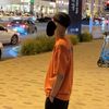 h_ani501
