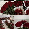 user41069438699267