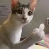 anhsangcuadang021