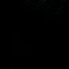 shex_diyaronline