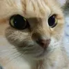 kimthuky2