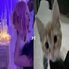 stmdmax_