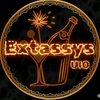 extassys_uio