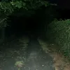 .hdjdd424777