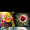 user2152610633524