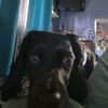 stella.rybicki