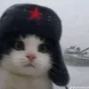 grigoriy_044