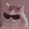 eusendoeu337