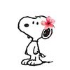 love_nice_good_fu