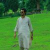 sayd.khan86