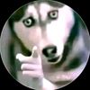 siqer_atar31