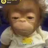 redifff_buzzz