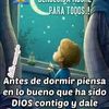 consuelobeltran47