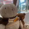 teddys_pb