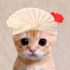 ppkucing150