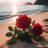 user786_love