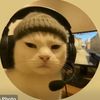 lilpeanutkid